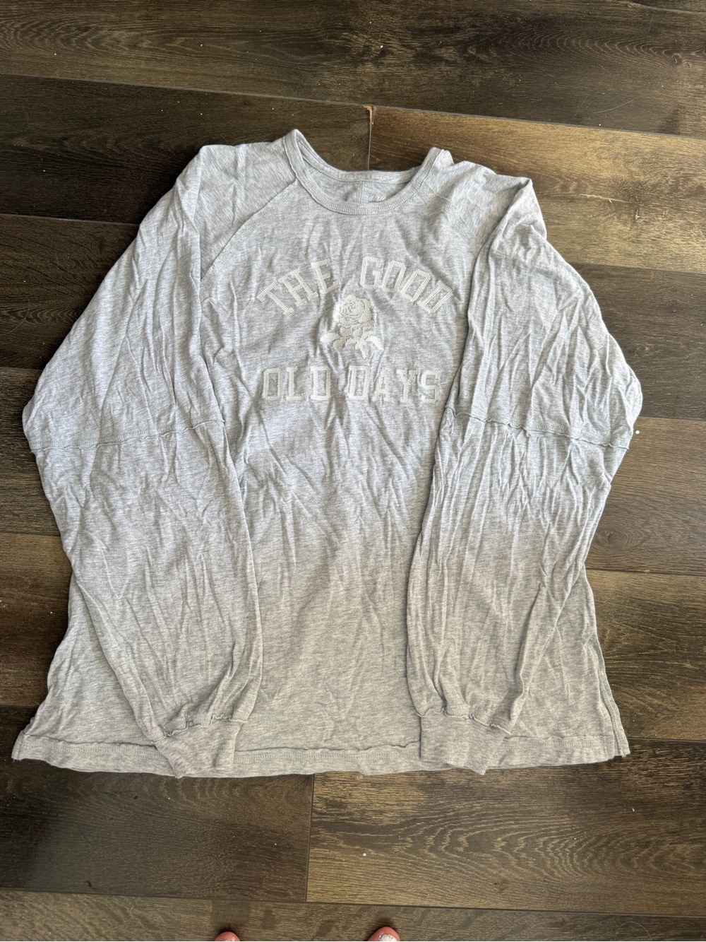 Aerie Light Gray Long-Sleeve Crewneck Oversized Graphic Tee